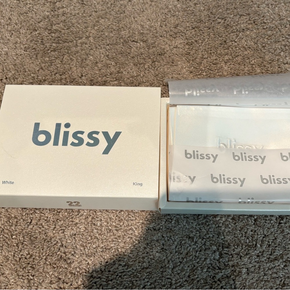 1 Brand New Blissy White Mulberry Silk Pillowcases Size King